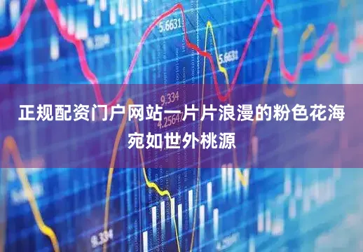 正规配资门户网站一片片浪漫的粉色花海宛如世外桃源