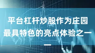 平台杠杆炒股作为庄园最具特色的亮点体验之一