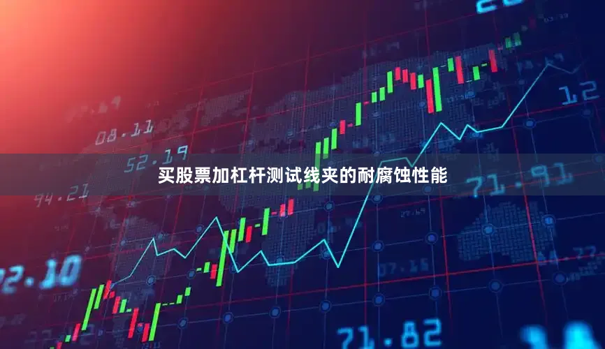 买股票加杠杆测试线夹的耐腐蚀性能