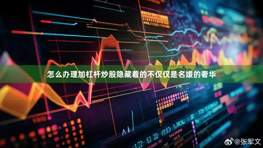 怎么办理加杠杆炒股隐藏着的不仅仅是名媛的奢华